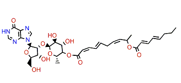 Shimofuridin C